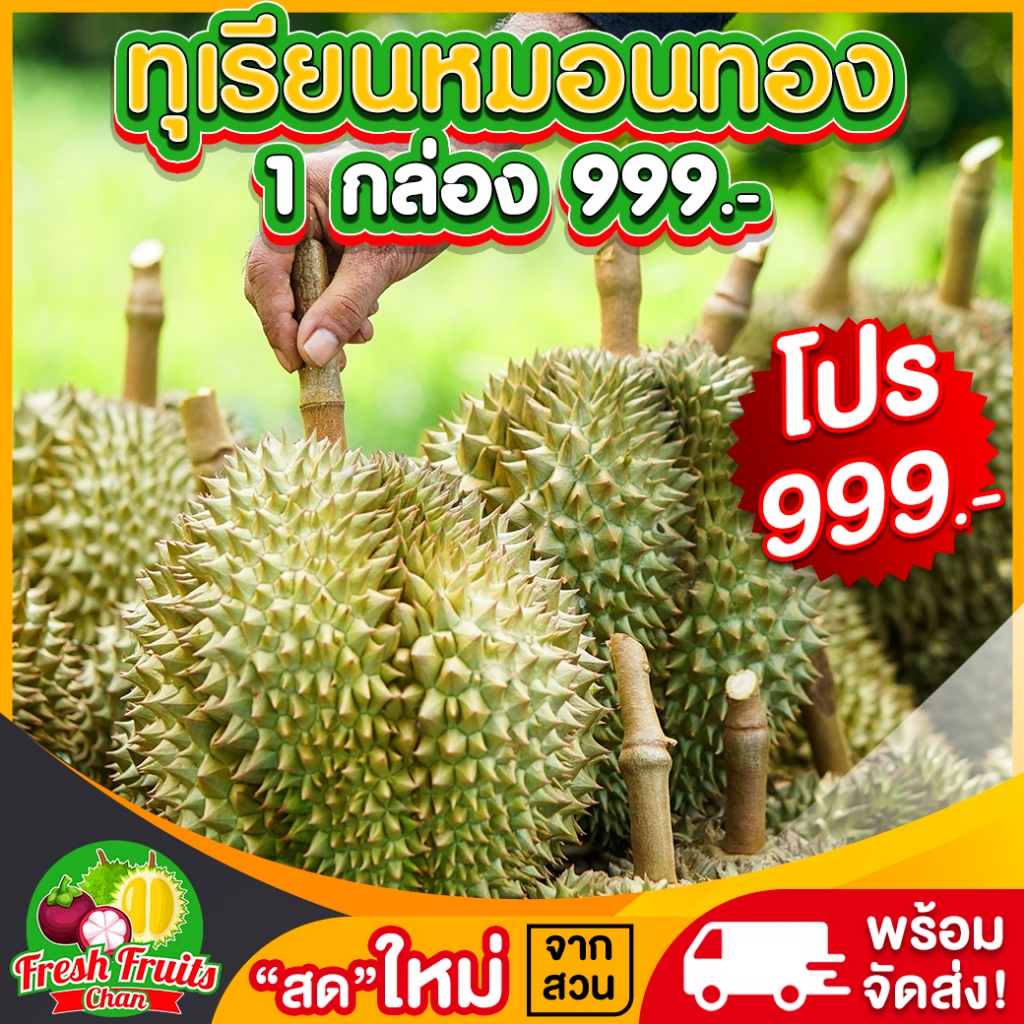 🔥ส่งไว👍🏻ทุเรียนหมอนทอง1กล่องโปร999.-✅4.6-5kg.(1-3ลูก)ตัดแก่สดจากสวนจันทบุรี