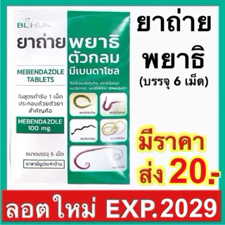 ยาถ่าย พยาธิ มีเบนดาโซล จำนวน 6 เม็ด Mebendazole