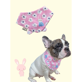 ผ้าพันคอสัตว์เลี้ยงหมาแมวลายกระต่ายน่ารัก
