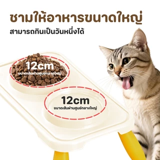 【CAT&DOG】 ชามแมวกันมด ชามอาหารแมว ชามแมว 2 ชาม ชามหมา การออกแบบชามคู่ ใช่ได้ตั้งกินและดื่ม