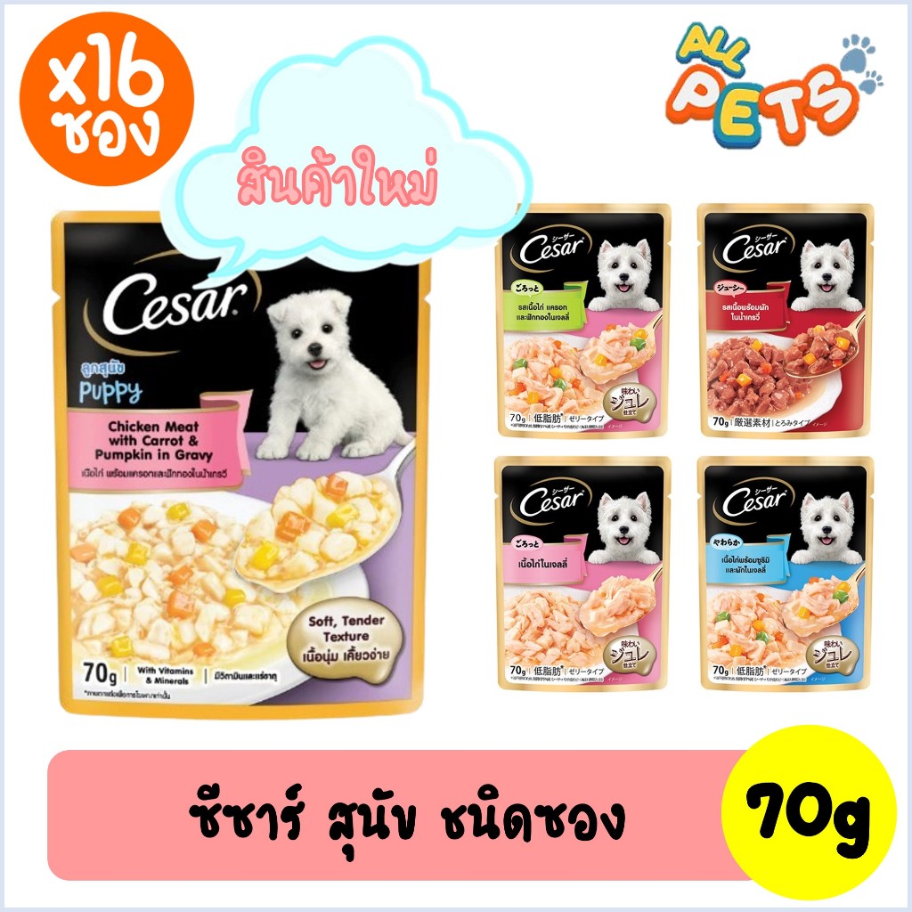 (ยกกล่อง16ซอง)Cesar ซีซาร์ อาหารสุนัขเปียก แบบซอง 70g