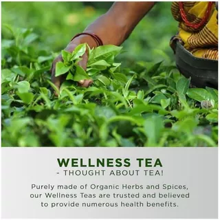 ชาสเปียร์มินต์ ออร์แกนิค | Organic Spearmint Tea | 40 ซอง