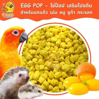 ไข่ป๊อบ 30g / 50g Egg Pop เสริมโปรตีน ผลิตจากไข่แดง อาหารไข่ อาหารนก หนู เม่น ชูก้า กระรอก