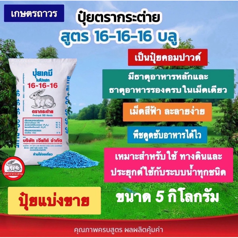 ปุ๋ยตรากระต่าย สูตร 16-16-16 เม็ดสีฟ้า แบ่งขาย 5 กิโลกรัม เร่งการเจริญเติบโตทุกส่วนของต้นไม้
