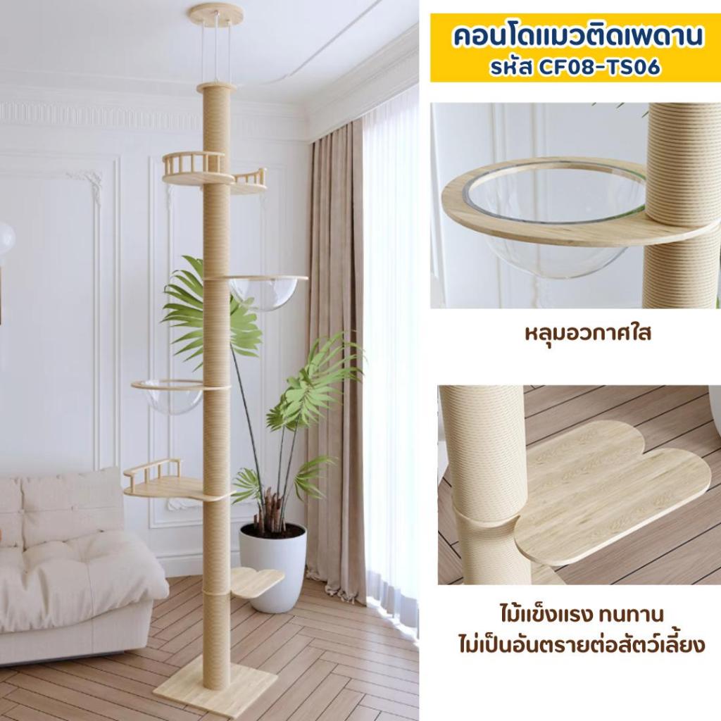 🐱[PetParadise.th]🐶คอนโดแมว คอนโดติดเพดาน เสาปีนป่าย เสาลับเล็บแมว ยึดเพดาน ไม่ต้องเจาะ งานมินิมอล รูปที่ 2