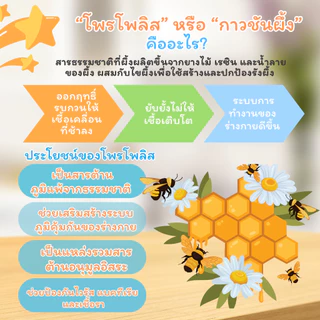 (โปรพิเศษ) Mama Cooks โพรโพลิซ เมาท์สเปรย์สำหรับเด็ก 6เดือน+ ดูแลช่องปาก ฆ่าเชื้อ ไวรัส แบคทีเรีย ขับเสมหะ แก้ไอ เจ็บคอ