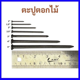 ตะปูตอกไม้ แบ่งขาย ครบทุกขนาด 1 - 5 นิ้ว 0.3 kg.  0.5 kg. และ 1 kg.