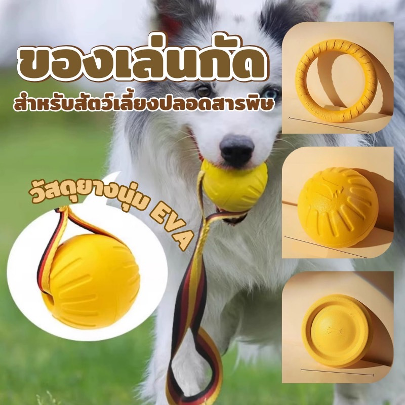 PS-ของเล่นหมา จานร่อน ของเล่นลูกบอล แบบโต้ตอบ ความเหนียวสูง ทนทาน สําหรับฝึกสัตว์เลี้ยง สุนัข