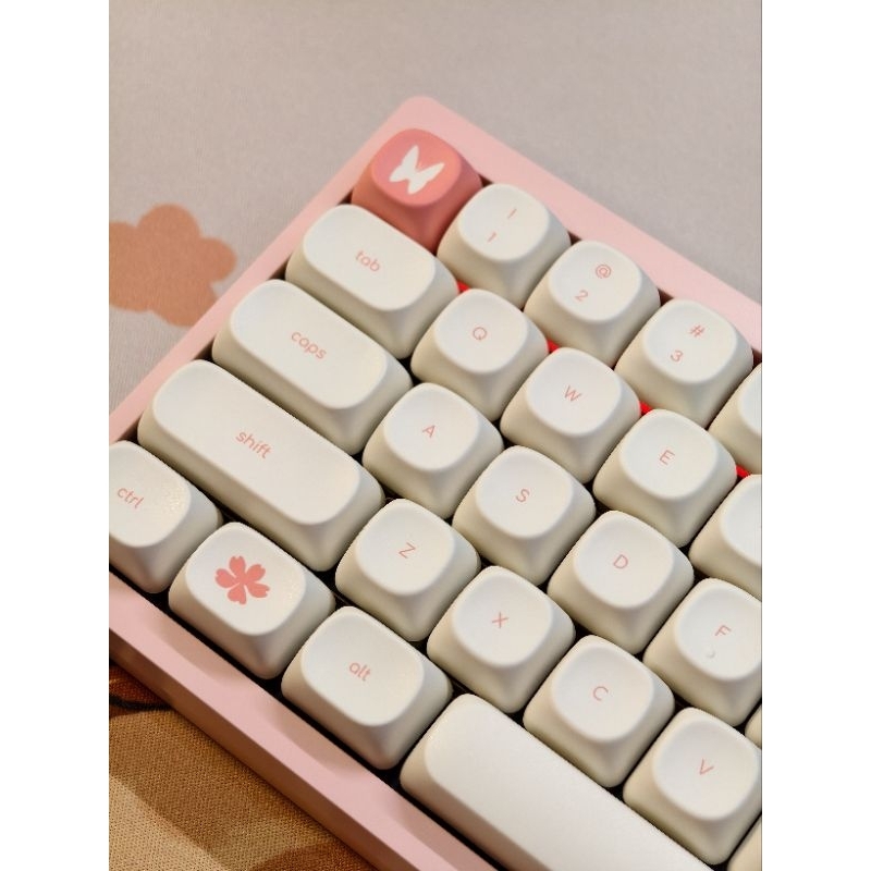 🇹🇭 ฟรีสติ๊กเกอร์ไทย Minimalist MOA Keycaps โคตรน่ารัก 124 ปุ่ม คีย์แคป มินิมอล PBT พร้อมส่งจากไทย