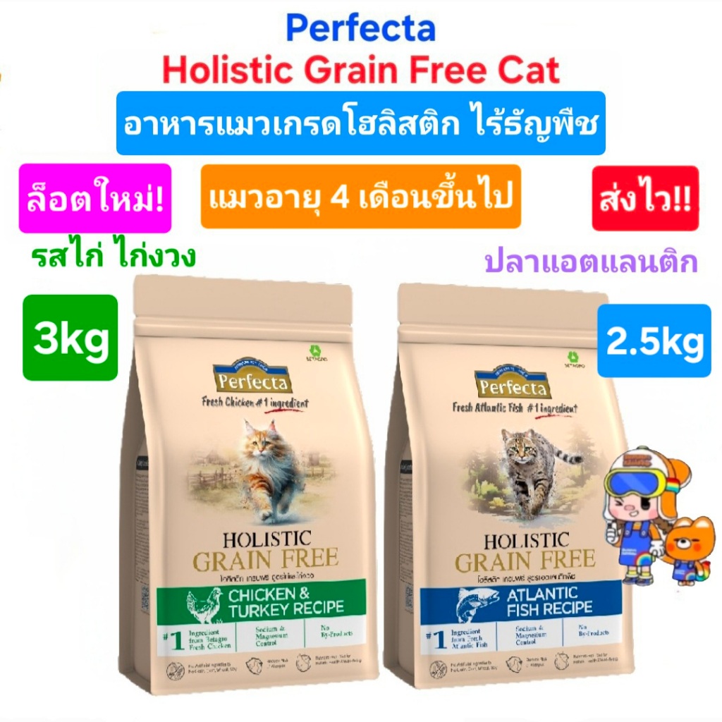 ใหม่ Perfecta Holistic Grain Free ไร้ธัญพืช Cat 2.5kg 3kg เพอร์เฟคต้า โฮลิสติก อาหารแมว วัตถุดิบพิเศษ สูตรไก่ สูตรปลา