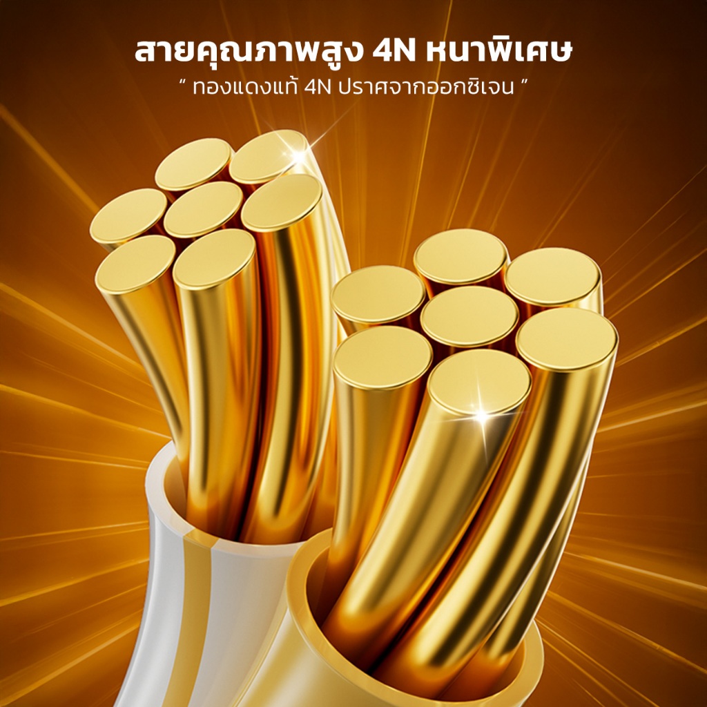 รูปภาพ 3