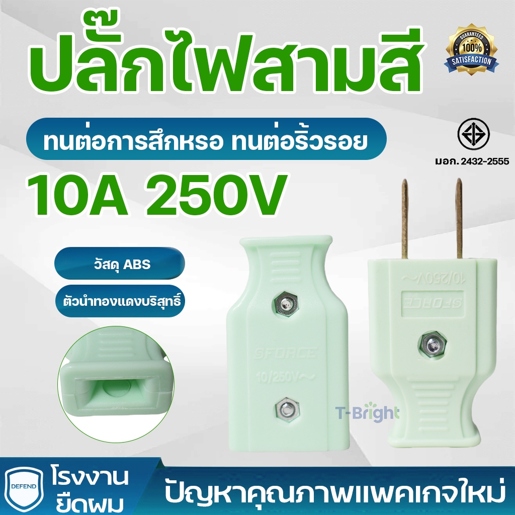 หัวแปลงขาปลั๊กตัวผู้ 10A 250V 2 ขาแบน