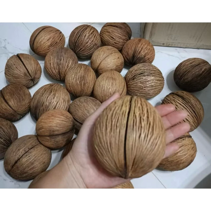 ลูกตีนเป็ดน้ำ ราคา ถูก มาก