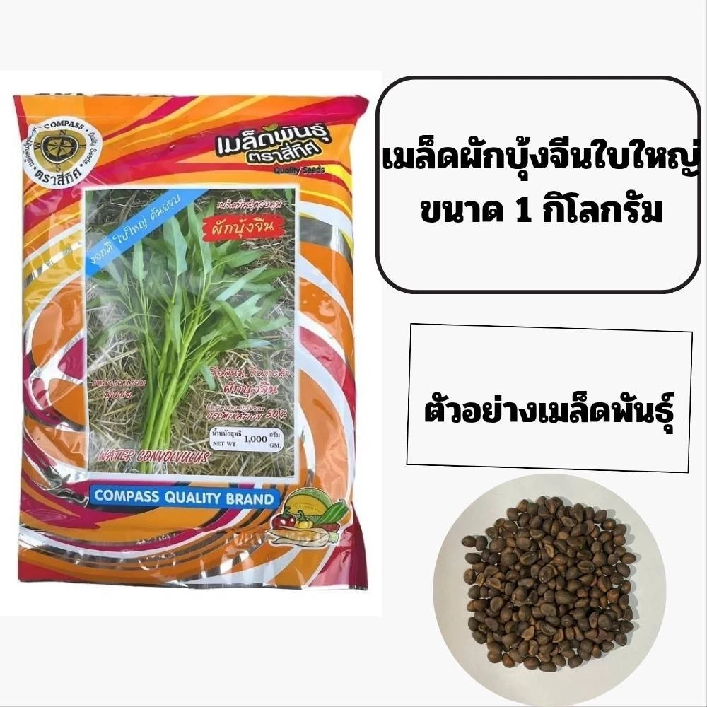 เมล็ดพันธุ์ ผักบุ้งจีน ตราสี่ทิศ ขนาด 1 กิโลกรัม