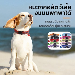 ปลอกคอแมวนิรภัย ปอกคอแมว ปลอกคอแมวเด็ก ปลอกคอสุนัข คอลล่าแมว สะท้อนแสง ปลอกคอ คอล่าแมว ปลอดคอแมว หมา 12สี ปรับขนาดได้