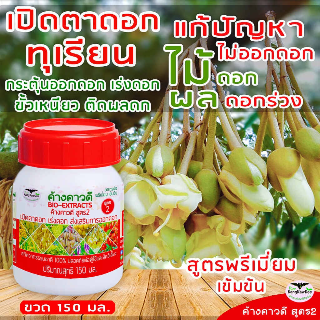 ปุ๋ยทุเรียนช่วงทำดอก เร่งติดดอก ค้างคาวดีสูตร2(150มล) เปิดตาดอก ขั้วเหนียว ช่วยให้ติดผลดก F2-150ML