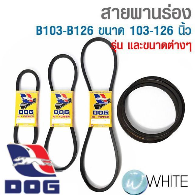 สายพานร่อง B103-B126 ขนาด 103-126 นิ้ว ยี่ห้อ DOG
