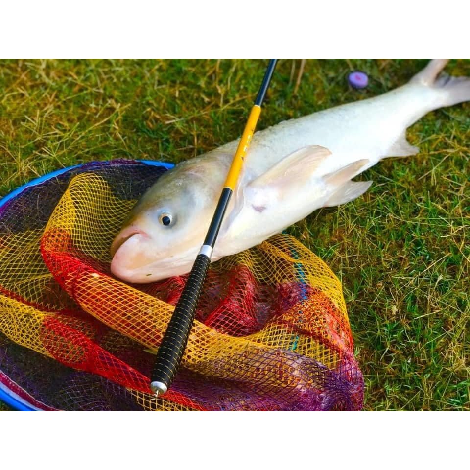 คันโฮชิ (Hoshi) MAXPRO