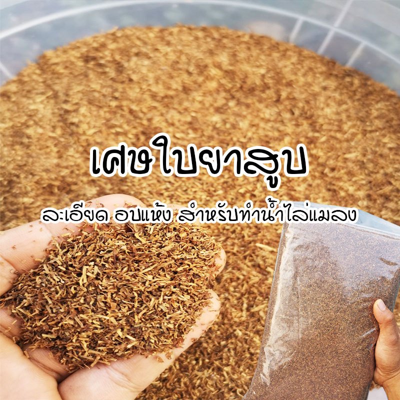 เศษใบอบแห้ง ใช้สำหรับทำน้ำหมักไล่แมลง ถุง 100 กรัม