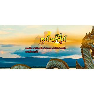 ธูปพญานาคพาไปมู เพจจริง