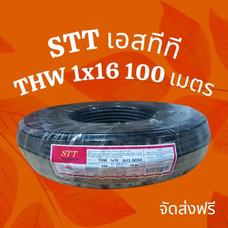 STT เอสทีที สายไฟ THW 1x16 100เมตร
