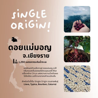 กาแฟเข้ม MaeMon Chocolate เมล็ดกาแฟคั่ว หอมช็อกโกแลต คั่วกลางเข้ม Single Origin ดอยแม่มอญ by Nite Coffee