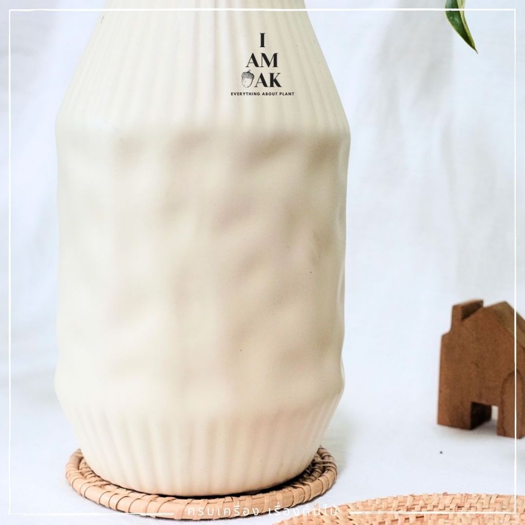 มุมมอง 2