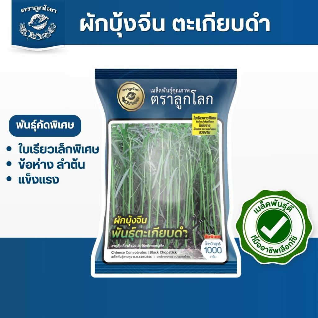 ตราลูกโลก เมล็ดผักบุ้งตะเกียบดำ Morning glory เมล็ดพันธุ์ผัก ผักสวนครัว ผักซอง
