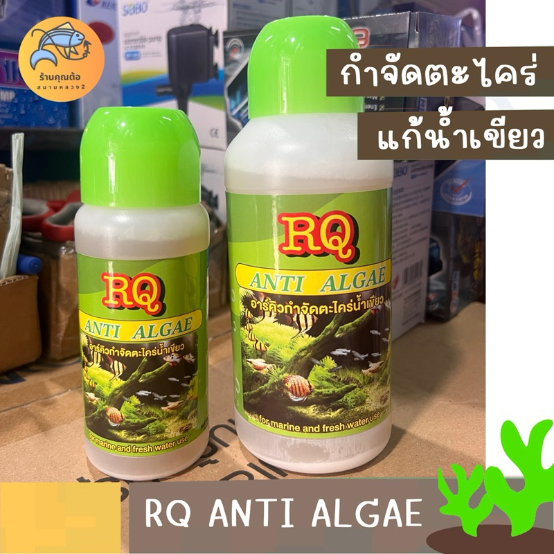 [พร้อมส่ง] RQ ANTI ALGAE น้ำยากำจัดตะไคร่ตู้ปลาและบ่อปลา แก้ปัญหา น้ำเขียว
