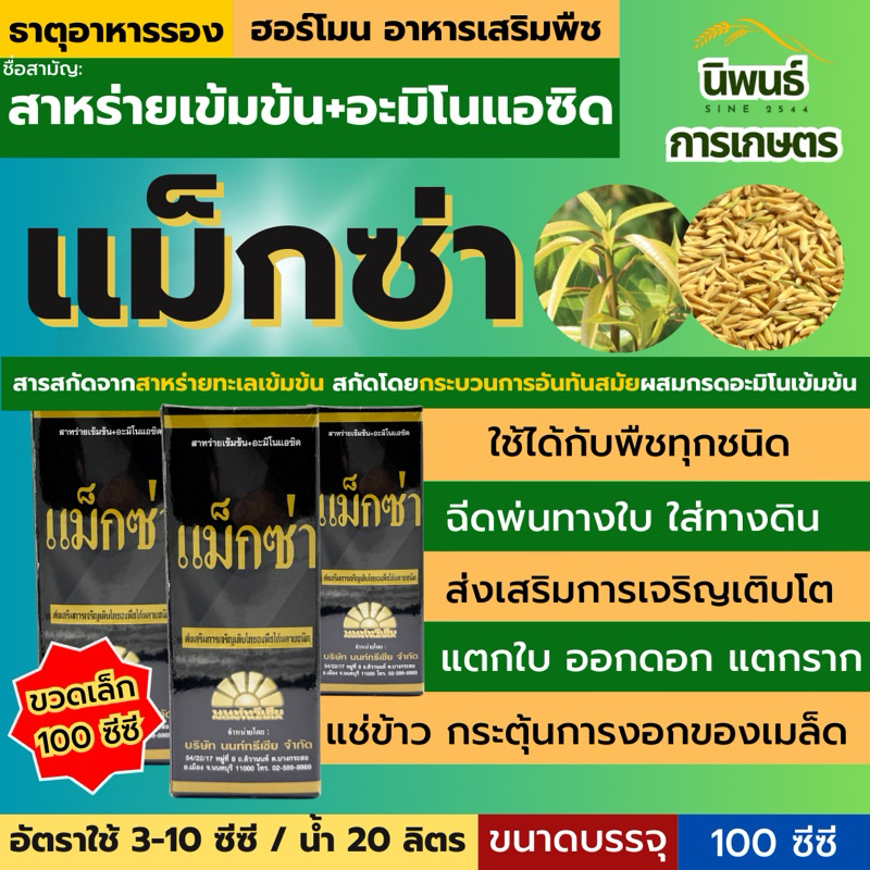 แม็กซ่า ขวดเล็ก สารสกัดจากสาหร่ายทะเลเข้มข้น ที่สกัดโดยกระบวนการอันทันสมัยผสมกรดอะมิโนเข้มข้น