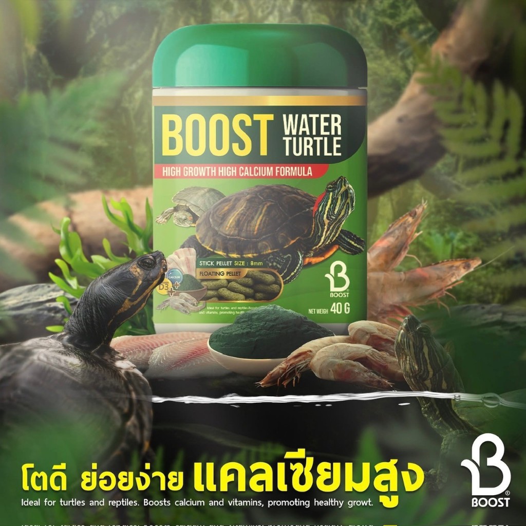 อาหารเต่า Boost Water Turtle อาหารเต่าญี่ปุ่น 40 กรัม บูสท์อาหารเต่าน้ำ สูตรเร่งโต แคลเซียมสูง ย่อยง่าย โปรตีนจากกุ้ง