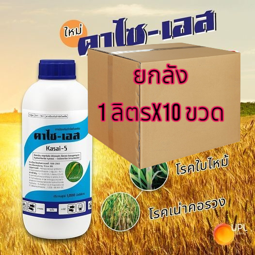 คาไซ-เอส ยกลัง ขนาด 1 ลิตรx10 ขวด กำจัดเชื้อราและแบคทีเรียชนิดดูดซึม โรคกาบใบแห้ง ใบใหม้ เน่าคอรวง