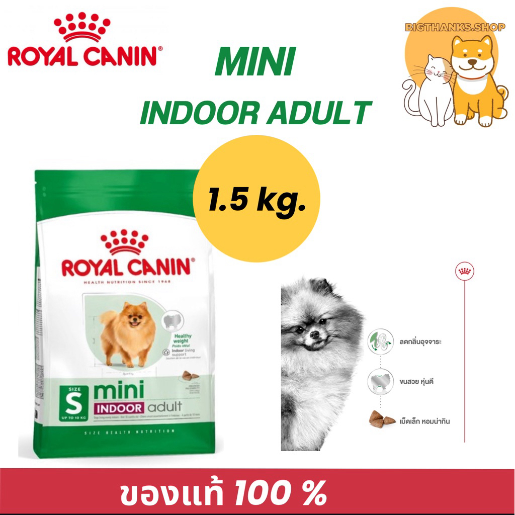 Royal canin Mini indoor adult 1.5 กก. Exp.03/09/26 สำหรับสุนัขพันธ์เล็กเลี้ยงในบ้าน