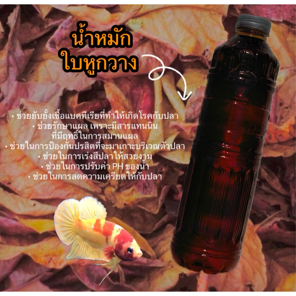 น้ำหมักใบหูกวางสูตรเข้มข้น 100 % ( สูตรไม่ผสมเกลือ ) อามิ อามิ ชุดทำน้ำเขียว สาห