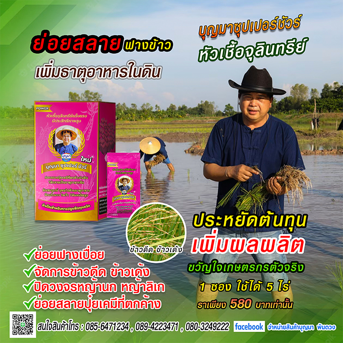 หัวเชื้อจุลินทรีย์ บุญมาซุปเปอร์ชัวร์ (1 ซอง) ของแท้ 💯%