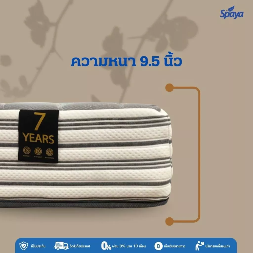ที่นอนสปริง SPAYA รุ่น Pearl ขนาด 3.5 ฟุต / 5 ฟุต / 6 ฟุต หนา 9.5 นิ้ว thumbnail 5