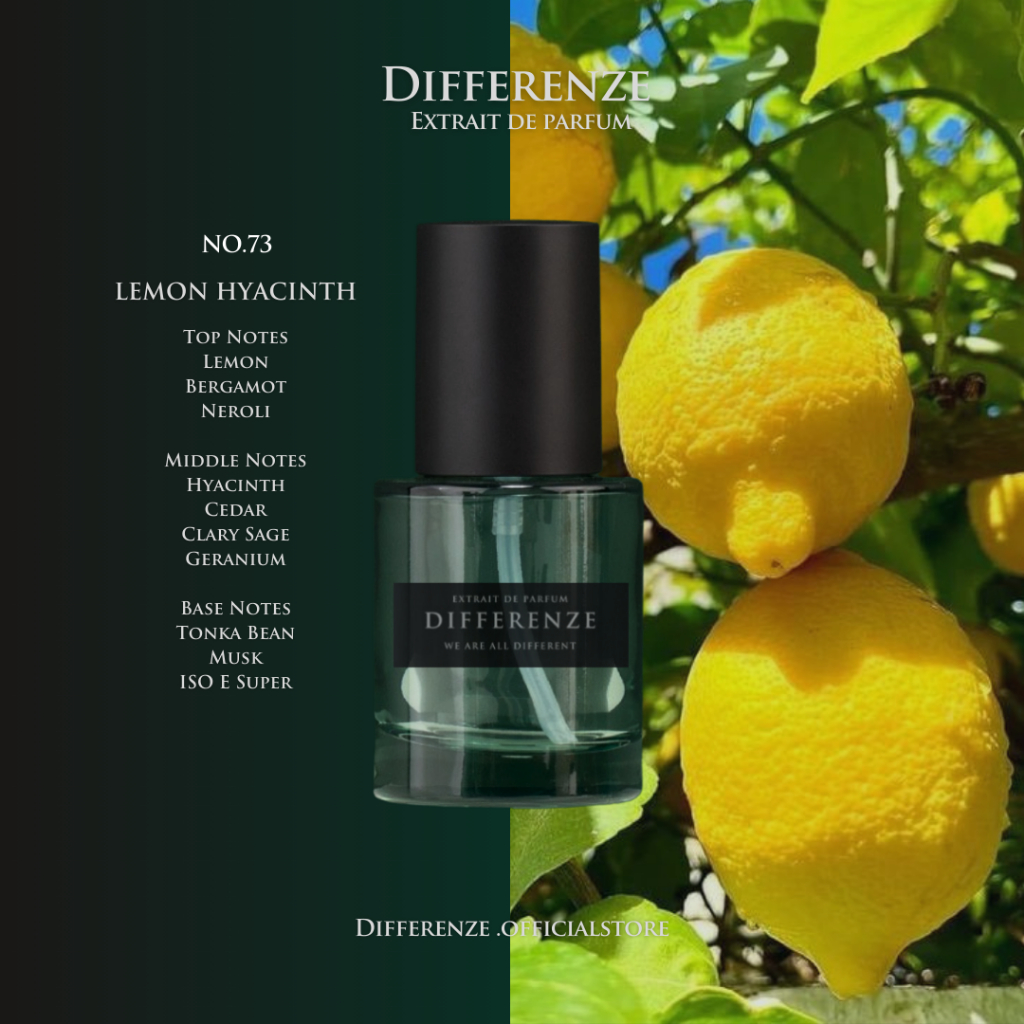 No.73 Differenze Lemon Hyacinth