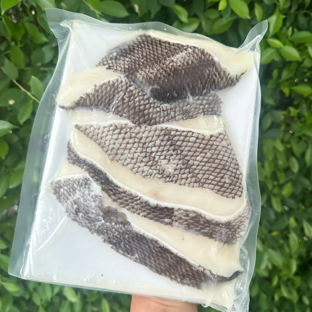 ปลาหิมะ Snow Fish (Patagonian Toothfish) แพค 500 กรัม (แล่คิริมิ 5 ชิ้นใหญ่)