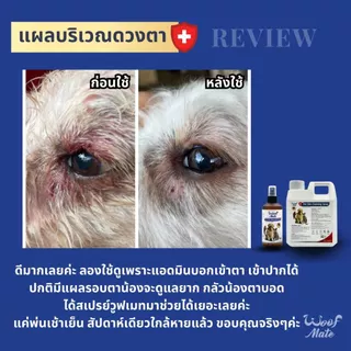(มี2ขนาด) สเปรย์ WoofMate บรรเทาอาการเชื้อรา ยีสต์ เรื้อน ลดอักเสบ คันเกา แผลถูกกัด แผลติดเชื้อ แผลกดทับ แผลเรื้อรัง