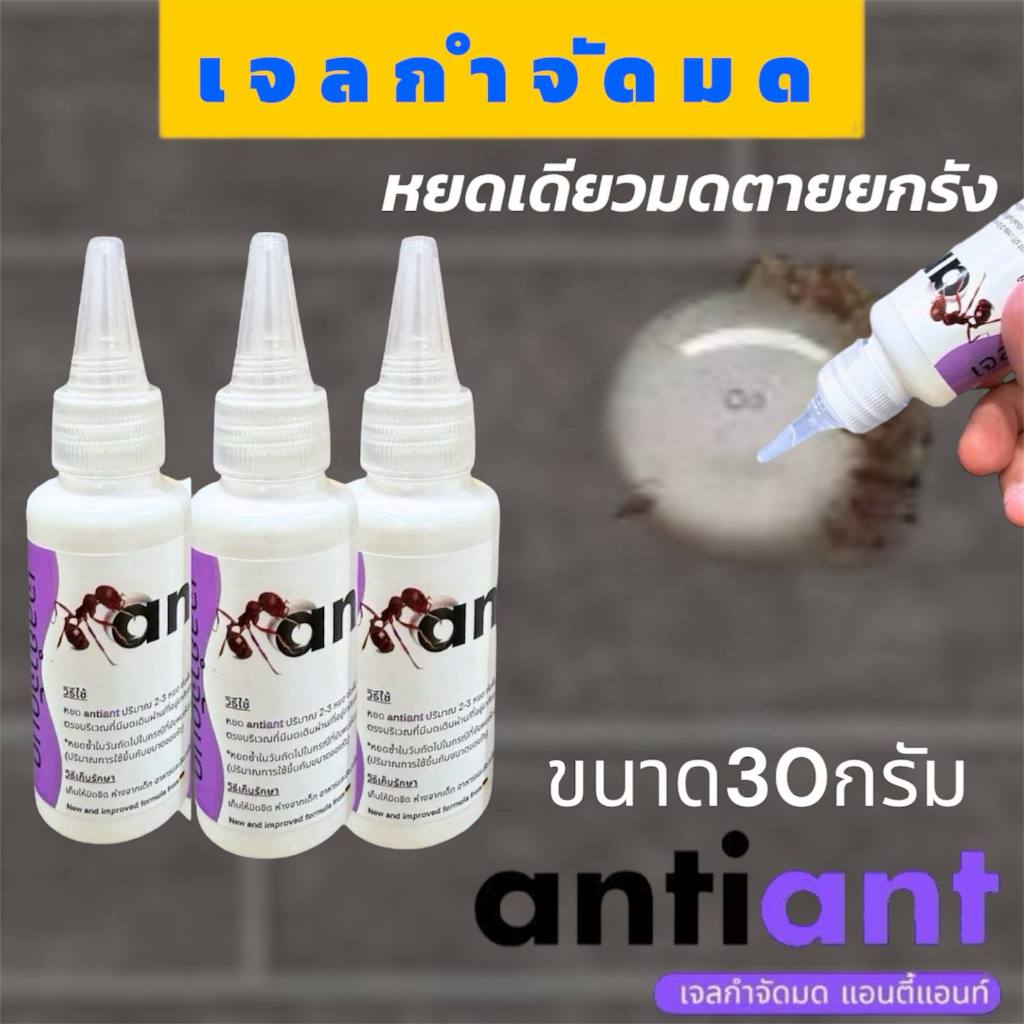 [3ชิ้น]เจลกำจัดมด Anti Ant ขวดม่วง แอนตี้แอนท์ ขนาด30ML. ของใช้ในบ้าน สามารถหยดในห้องนอน ในรถ ห้องครัว หยดเดียวยกรัง