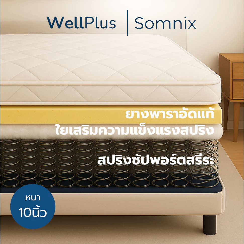 WellPlus ที่นอนยางพาราเสริมสปริง รุ่น Somnix หนา 10 นิ้ว thumbnail 5