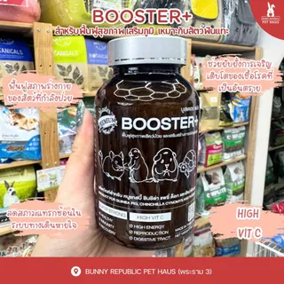 Master Premium Booster Plus ฟื้นฟูสุขภาพ เสริมสร้างการเจริญเติบโต สำหรับ แกสบี้ หนูตะเภา
