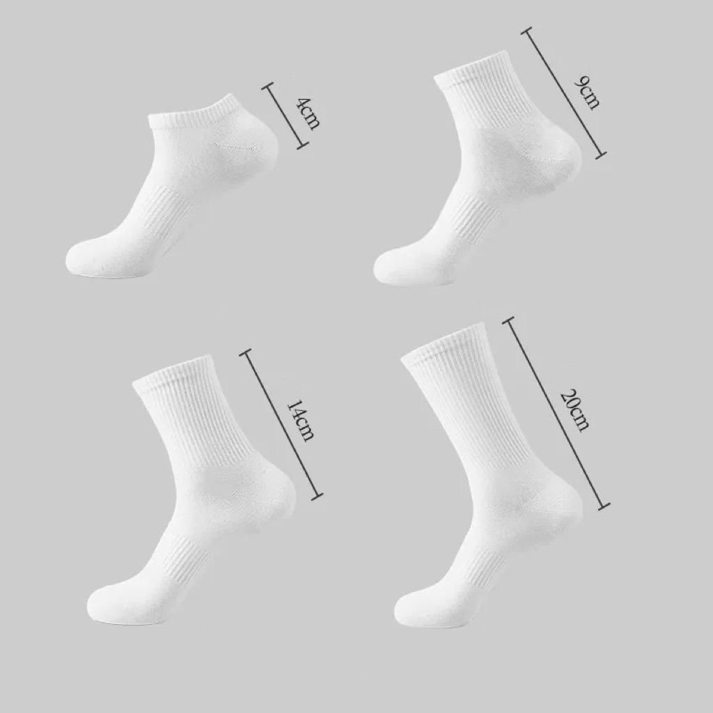 รูปภาพ 8