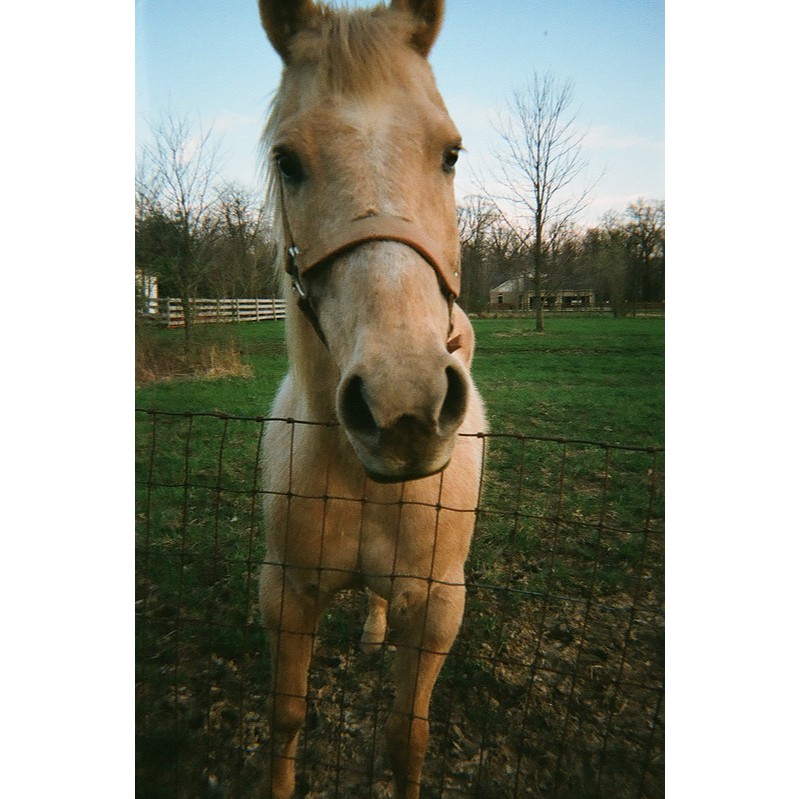 รูปภาพ 6