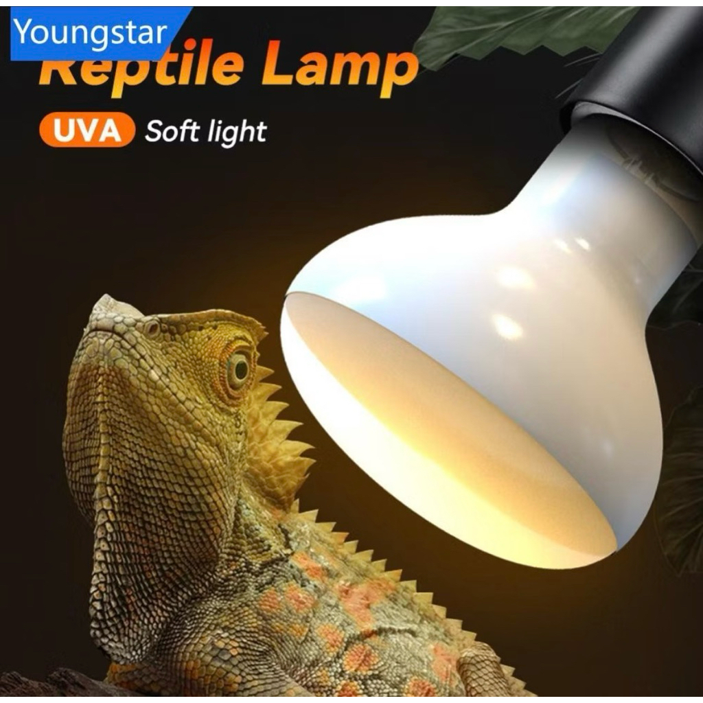 หลอดไฟ UVA ( UVA Lamp )