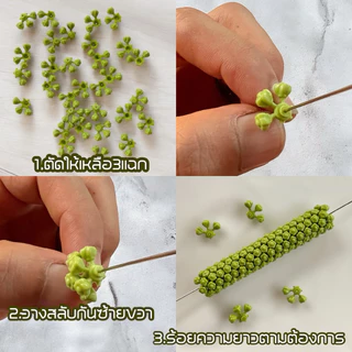 [ถูกที่สุด]กลีบใจรักวง สินค้าลิขสิทธิ์แท้ สำหรับทำรัดข้อพวงมาลัย อุบะ ดอกรักดอกพุดผ้าใบตองผ้าโพลีออย ร้อยพวงมาลัย