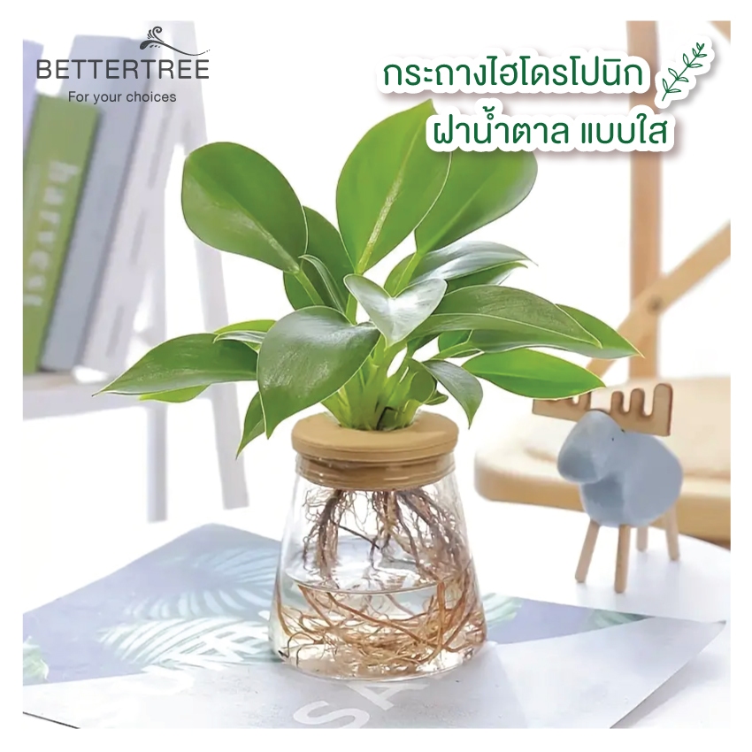 กระถางไฮโดโปนิกใสฝาน้ำตาล  เลี้ยงต้นไม้น้ำได้  แจกัน รดน้ำ อัตโนมัติ