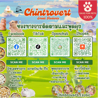 Chintrovert ✨| โหมด : รวมอาหารยี่ห้อแบรนด์ดังแบ่งขาย 100g. | แฮมเตอร์ทุกสายพันธุ์ แฟตเทล ดอร์เมาท์ ดัมโบ้