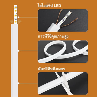 ไฟแถบนีออน Neon Flex LED ดัดงอได้ ยาว3/15/30ม สีสวยกันน้ำแรงดัน 220V เหมาะแก่การตกแต่งบ้าน ต่อปลั๊กให้พร้อมใช้งาน