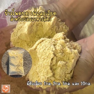 ข้าวโพดบดละเอียด สำหรับสัตว์ 1กล. 2กล. 5กล. 10กล.